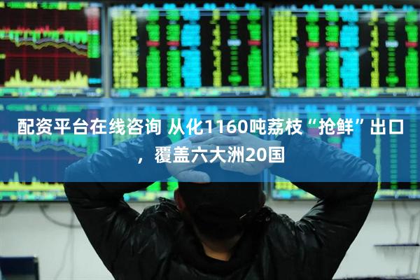 配资平台在线咨询 从化1160吨荔枝“抢鲜”出口，覆盖六大洲20国
