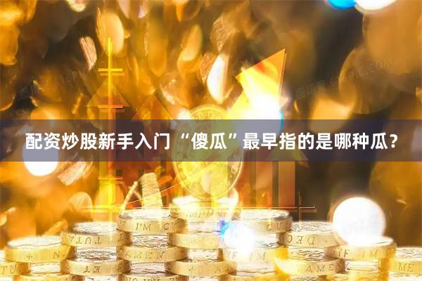 配资炒股新手入门 “傻瓜”最早指的是哪种瓜？