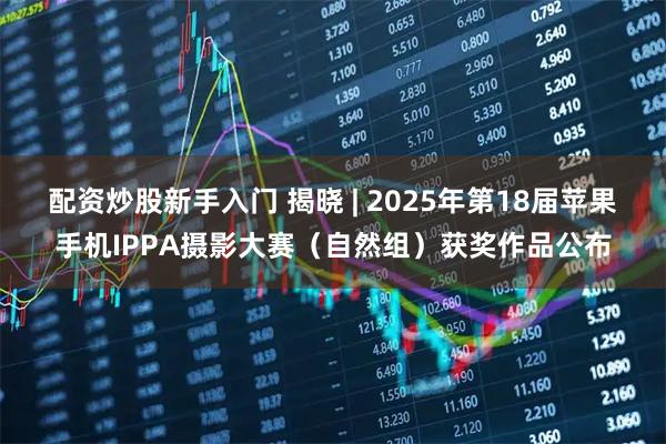 配资炒股新手入门 揭晓 | 2025年第18届苹果手机IPPA摄影大赛（自然组）获奖作品公布